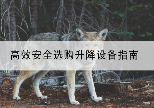 永兴升降货梯厂家推荐-*安全选购升降设备指南