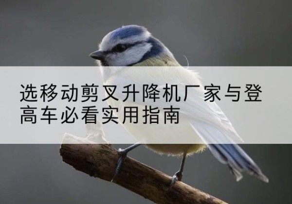 永兴电动升降机厂家-选移动剪叉升降机厂家与登高车必看实用指南