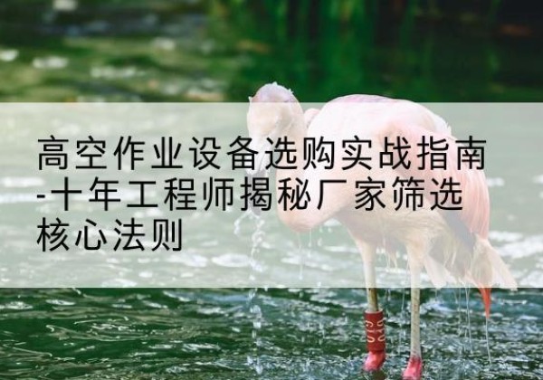 永兴剪叉式升降机厂家-高空作业设备选购实战指南-十年工程师揭秘厂家筛选核心法则