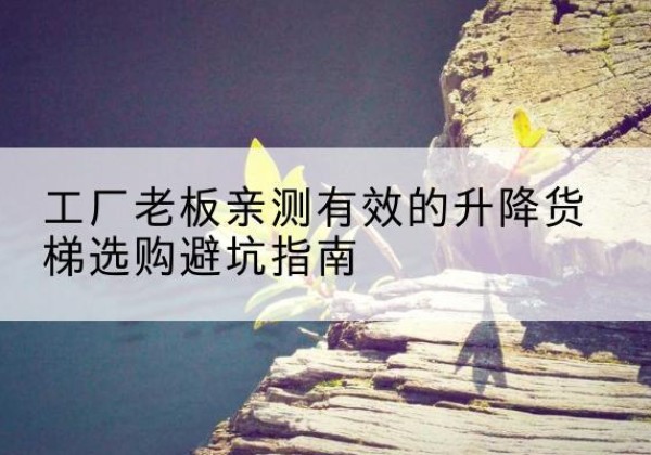 永兴升降货梯怎么选-工厂老板亲测有效的升降货梯选购避坑指南